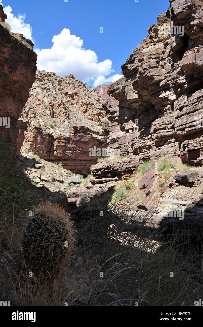 Grand Canyon National Park Deer Creek Narrows Stockfoto