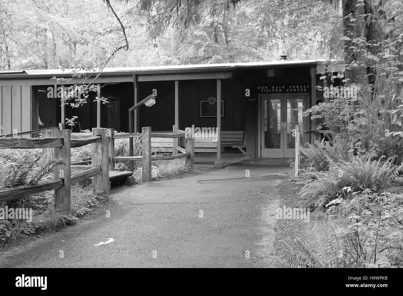 Das Hoh Visitor Center im Olympic National Park bietet Informationen über die vielfältigen Ökosysteme des Parks, einschließlich des Hoh Rainforest. Es ist ein wichtiger Ausgangspunkt für Besucher, die die einzigartige Artenvielfalt und natürliche Schönheit des Parks erkunden möchten. Stockfoto