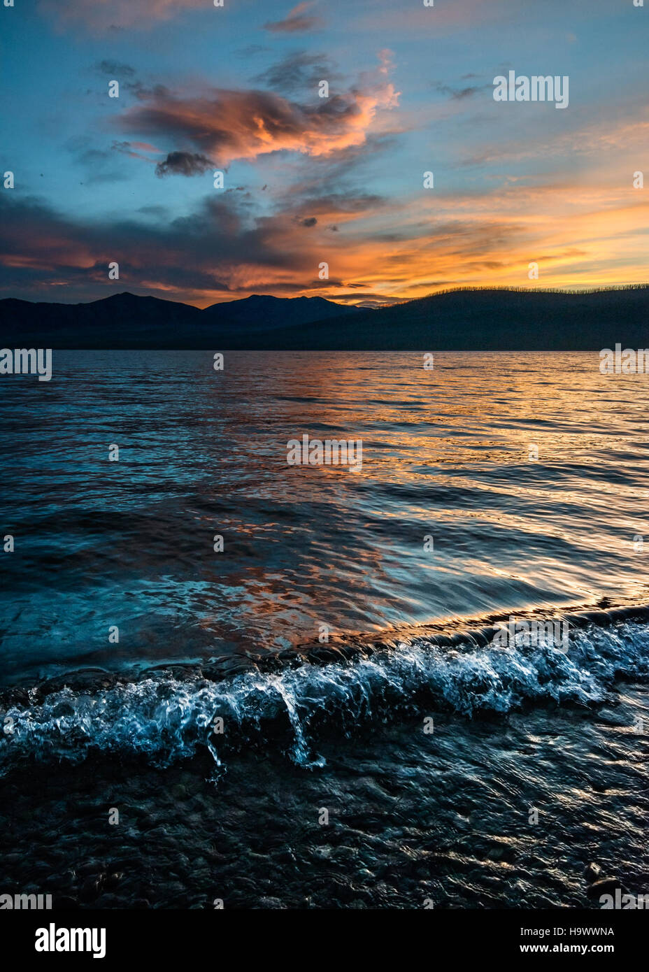 Curl bezieht sich auf eine charakteristische natürliche Eigenschaft oder Pflanze, die innerhalb eines Nationalparks gefunden wird und für ihre einzigartige Form oder Form bekannt ist. Dieses Merkmal trägt zum vielfältigen Ökosystem des Parks bei und trägt zu seiner ökologischen Bedeutung bei. Stockfoto