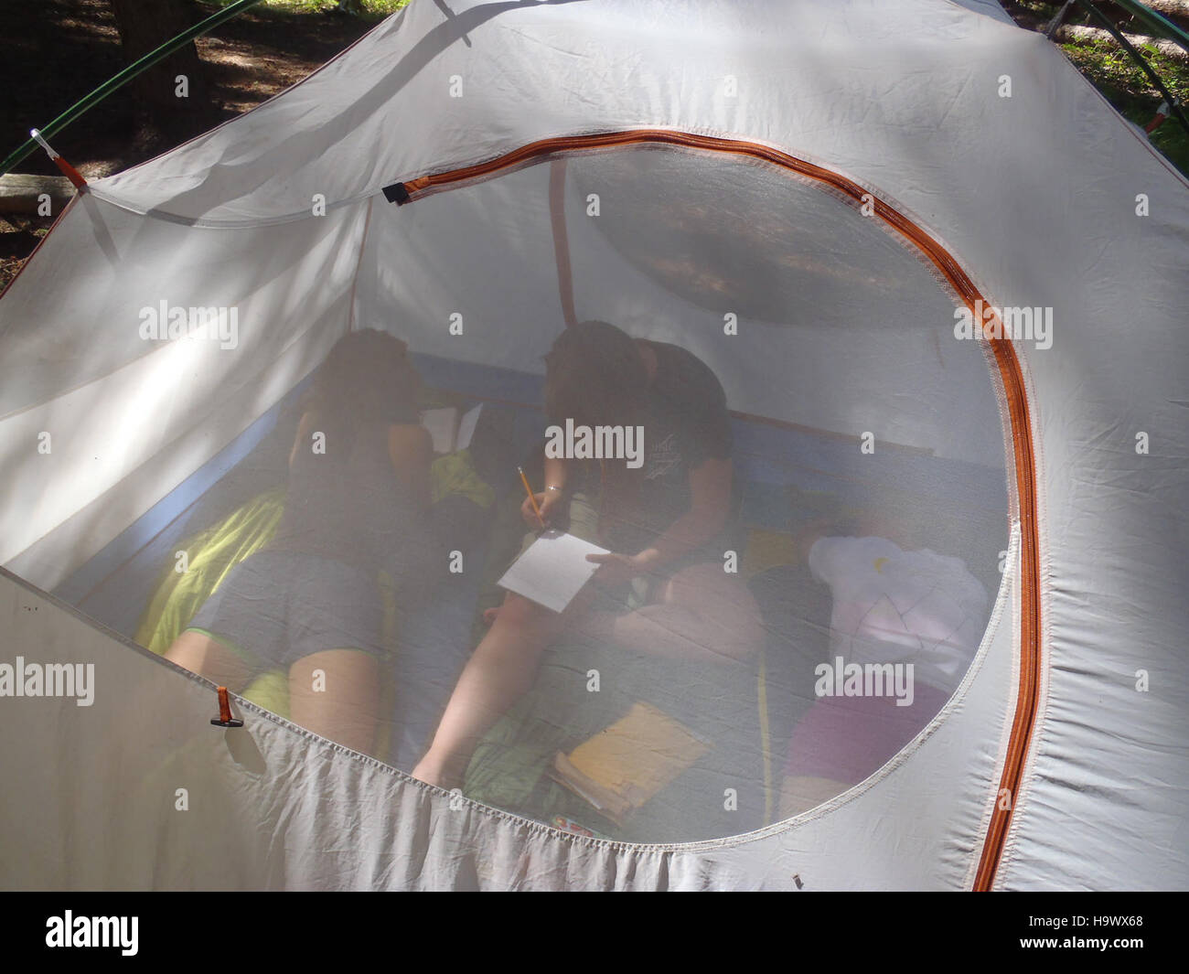 Der 1872 gegründete Yellowstone-Nationalpark ist der erste Nationalpark der Welt in Wyoming, Montana und Idaho. Der Park ist berühmt für seine geothermischen Eigenschaften, darunter heiße Quellen, Geysire und Fumarolen. Es ist auch die Heimat vielfältiger Tierarten wie Bisons, Wölfe und Grizzlybären und bietet Besuchern Erholungsmöglichkeiten. Stockfoto