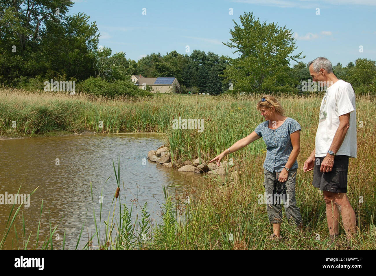Konstruiertes Feuchtgebiet Stockfotos Und Bilder Kaufen Alamy
