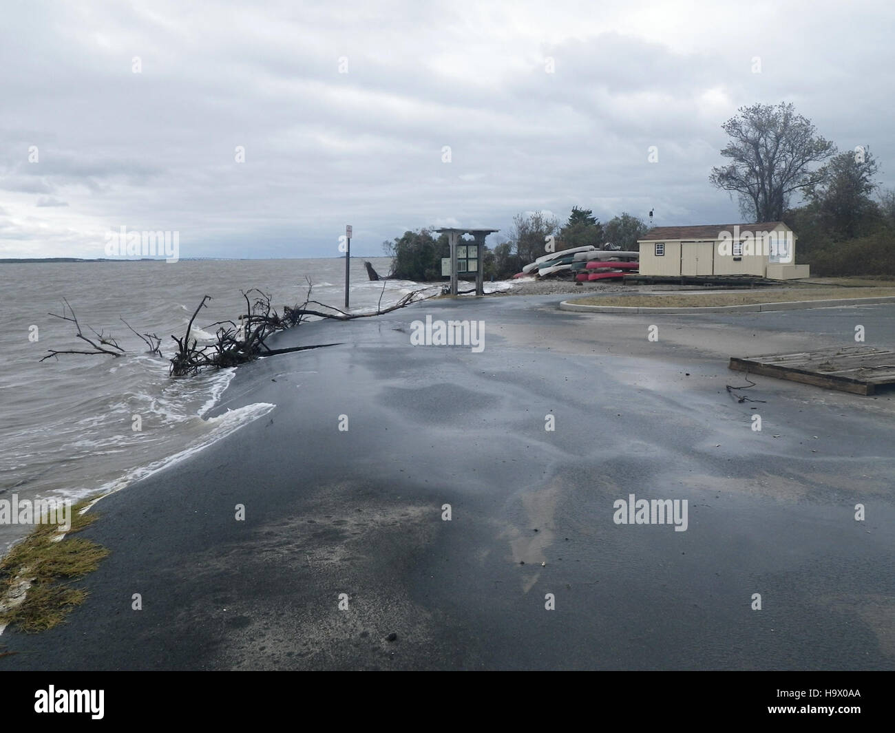 Ein Blick auf den Bayside Parkbereich am Assateague National Seashore in Maryland, aufgenommen am 30. Oktober. Der Park ist bekannt für seine einzigartige Küstenumgebung, Tierwelt und Freizeitmöglichkeiten entlang der Ostküste. Stockfoto