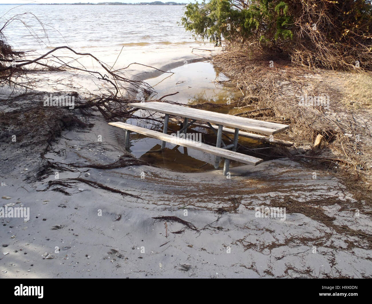 Der Bayside Picknickbereich im Assateague National Park, Maryland, ist ein malerischer, ruhiger Ort für Besucher, um Mahlzeiten im Freien zu genießen, umgeben von der natürlichen Schönheit des Parks, einschließlich der Aussicht auf die Bucht. Stockfoto
