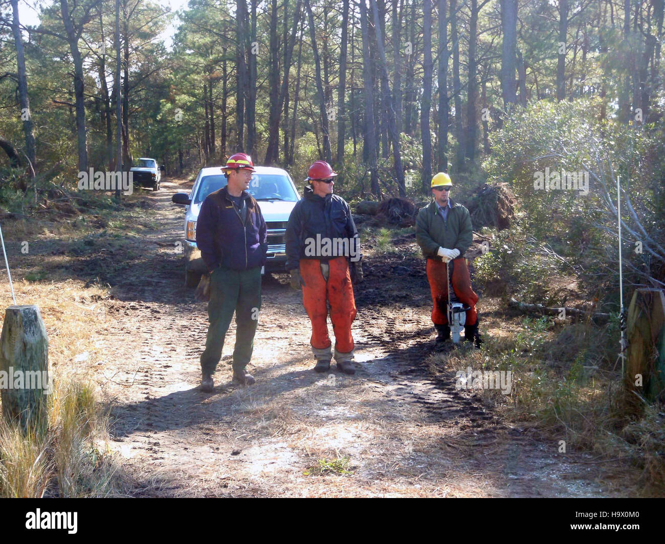 Sawyers liegt im Maryland District des Assateague National Park und bietet einen Einblick in die vielfältigen Ökosysteme des Parks und sein Engagement für Umweltschutz und Umwelterziehung. Stockfoto