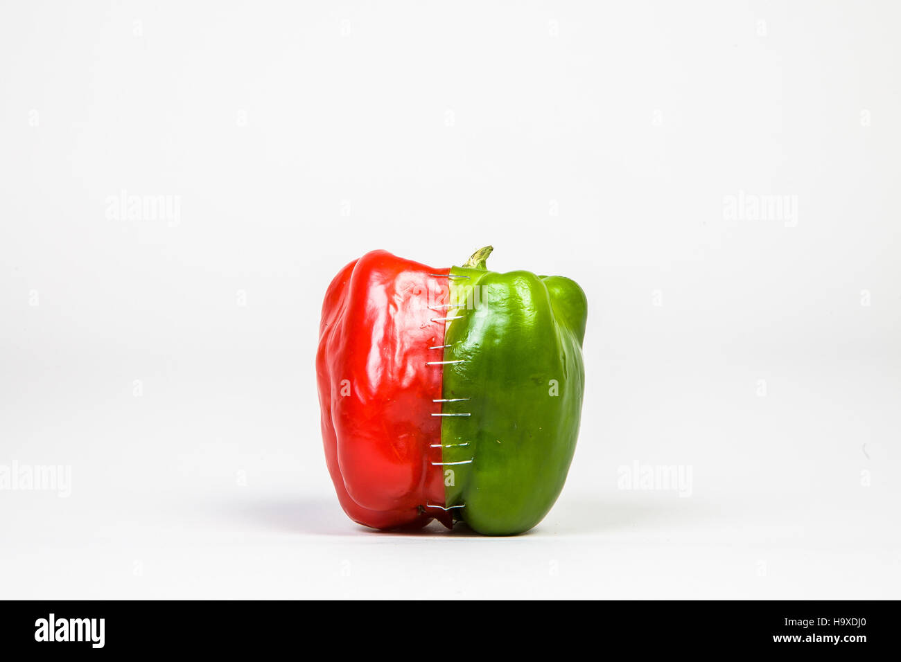 Frankenfruit - die rote und grüne Paprika Stockfoto