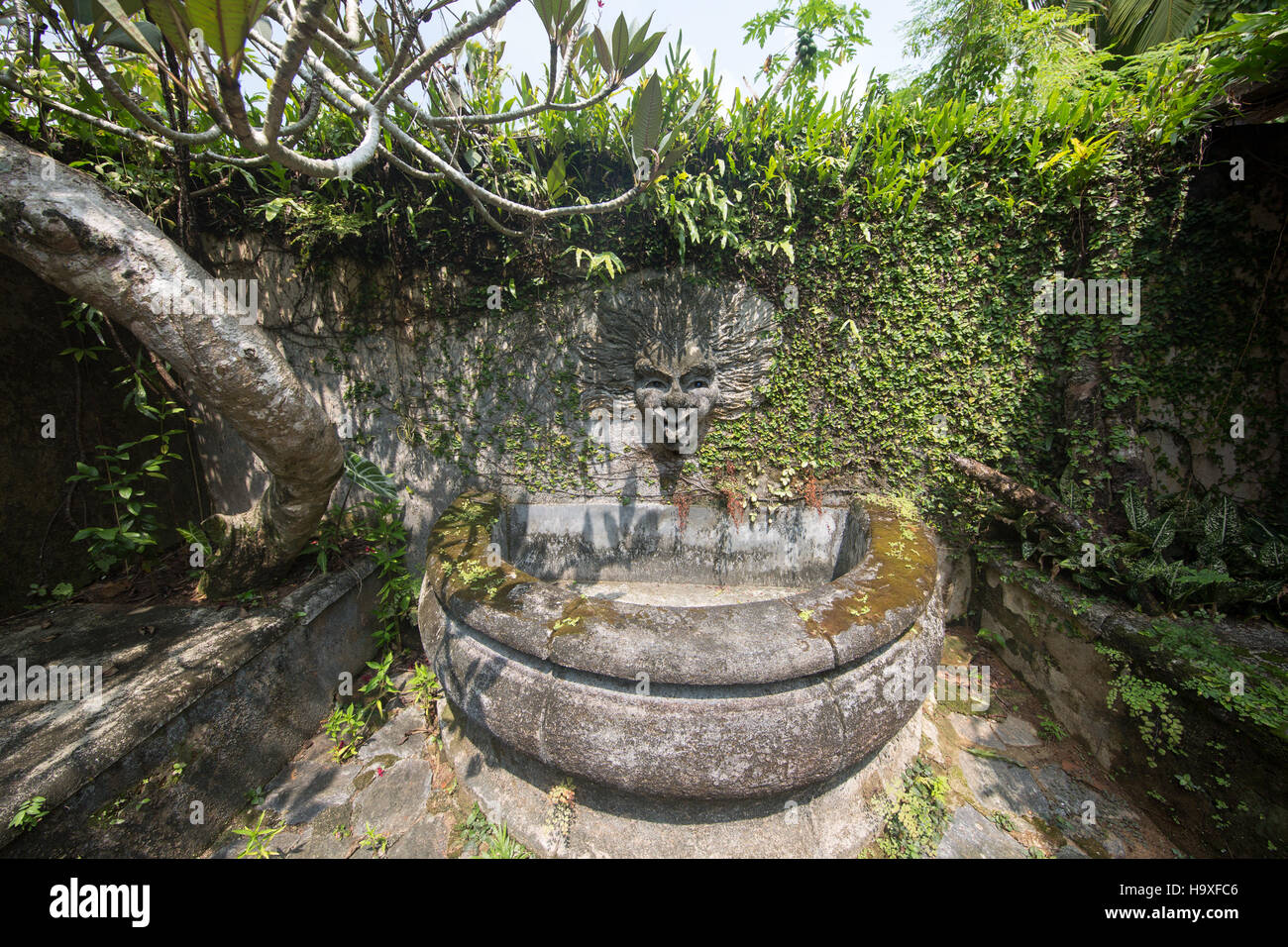Kurze Gärten Aluthgama Si Lanka Stockfoto