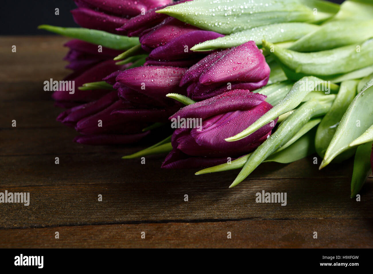 Tulpen auf braun-Boards, Frühlingsblumen Stockfoto