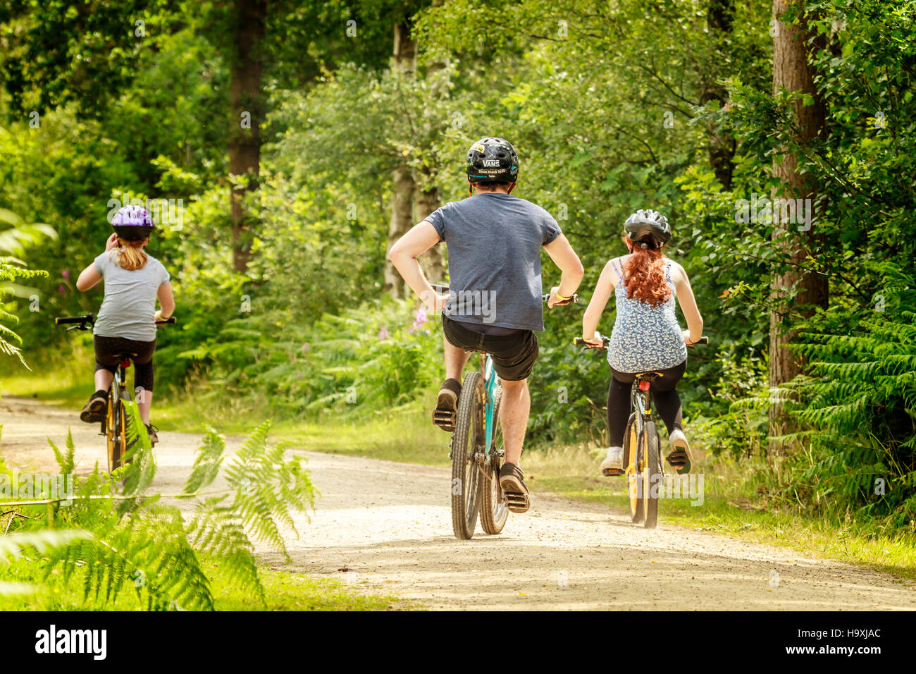 Junge Familie Radfahren im Wald Stockfoto