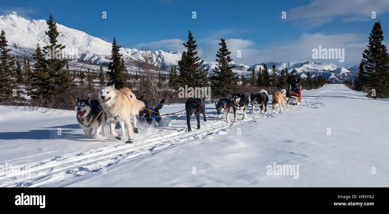 Denalinps 8636566346 Corrie auf Straße Panorama - Jacob W. Frank Stockfoto