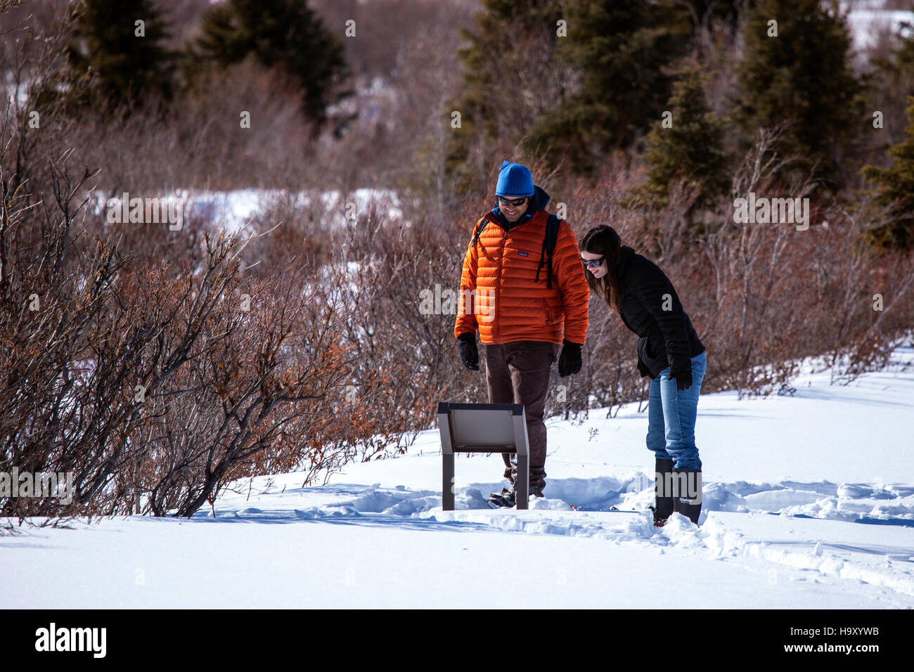 Besucher des Denali-Nationalparks werden ermutigt, sich über die einzigartigen Ökosysteme und Tierwelt des Parks auf den Tafeln in Mountain Vista zu informieren. Diese Tafeln liefern wertvolle Informationen über die Geschichte, Geologie und Naturschutzbemühungen des Parks. Stockfoto