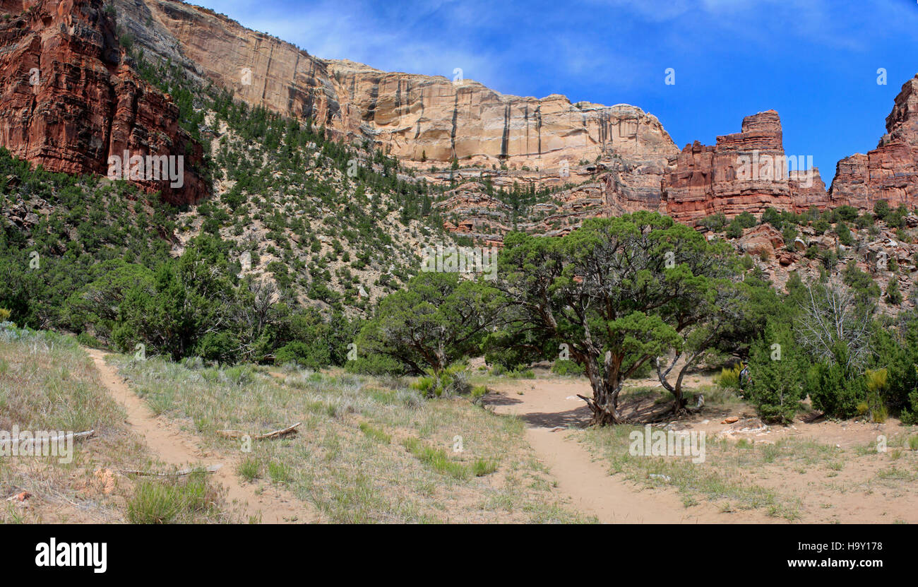 Big Joe, ein gut erhaltenes Fossil, das am Dinosaur National Monument gefunden wurde, bietet Einblick in das prähistorische Leben und die Fossilienbestände. Die Stätte ist nach wie vor ein Drehkreuz für paläontologische Forschung und zieht Besucher und Forscher an, die sich für Dinosaurierfossilien interessieren. Stockfoto