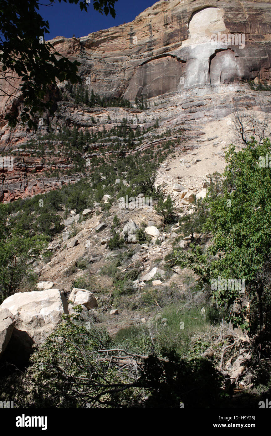 Eine Fossilienausstellung im Dinosaur National Monument mit prähistorischen Überresten von Dinosauriern. Das Denkmal bewahrt eine der reichsten Fossilien von Dinosauriern der Welt. Stockfoto