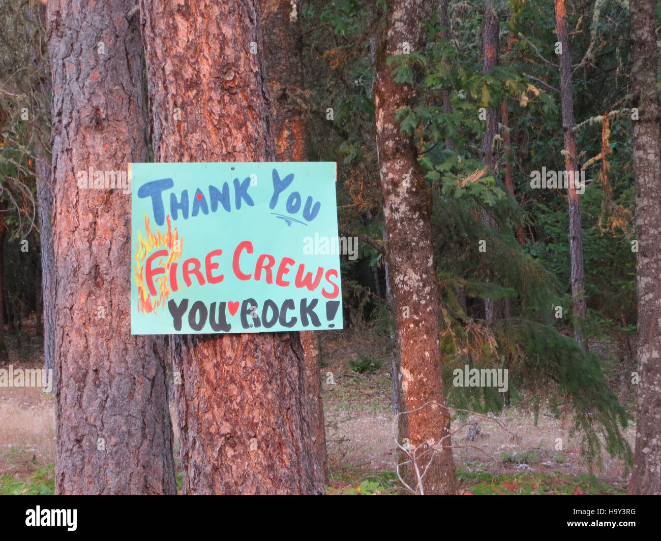 Ein Foto, das die Brände des Big Windy Complex 2013 dokumentiert, darunter die Brände Big Windy, Calvert Peak und Jenny Fires. Das Bild zeigt die Herausforderungen der Waldbrandbewirtschaftung und ihre Auswirkungen auf Waldökosysteme. Stockfoto