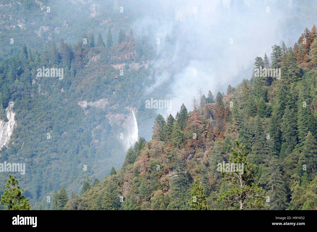 Waldbrände, wie der Strombrand, sind ein kritisches Umweltproblem. Das USDA befasst sich mit der Bekämpfung von Waldbränden und fördert die Prävention und Aufklärung über den Brandschutz in öffentlichen Ländern. Stockfoto