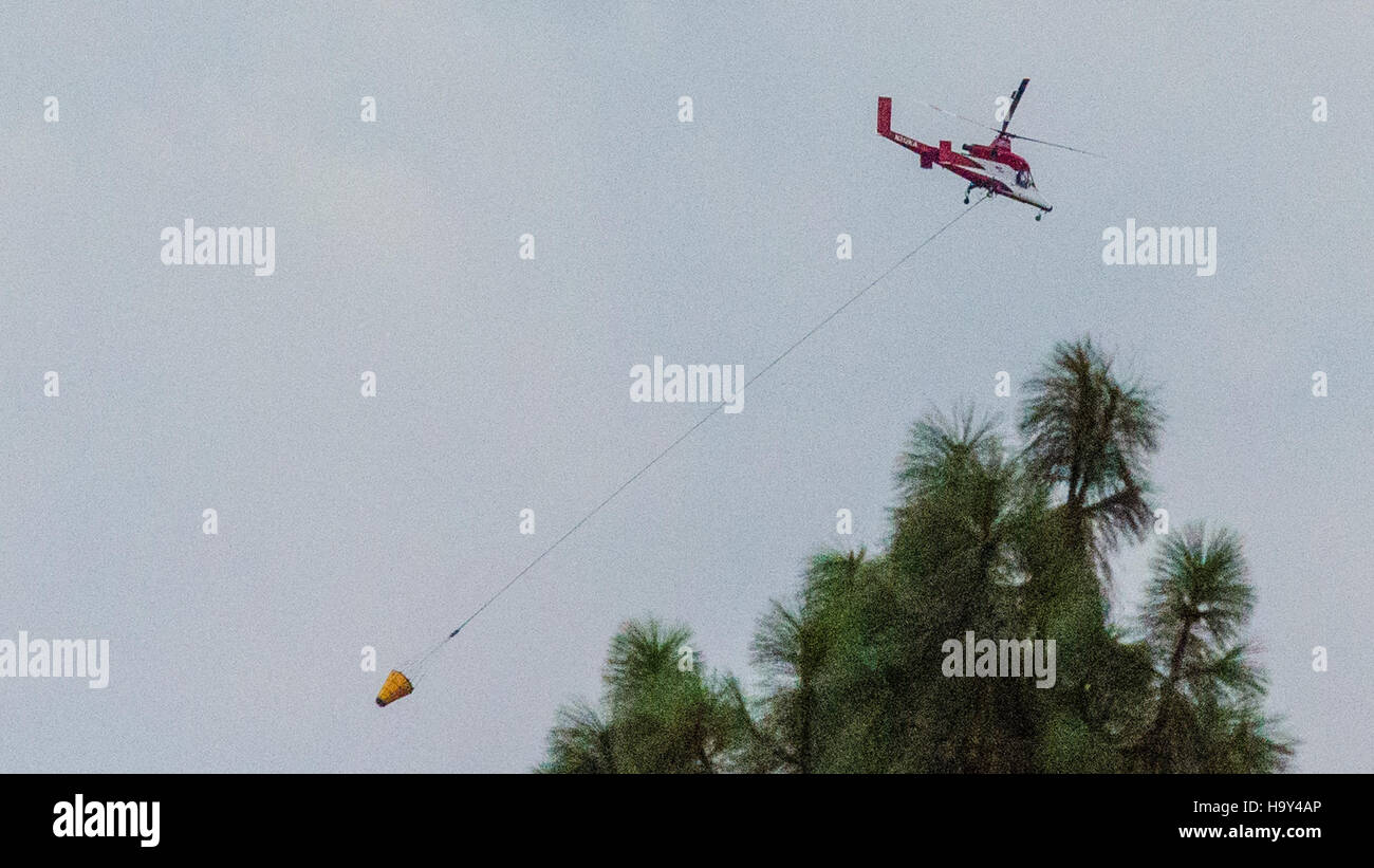 Der Big Windy Complex Wildlands Fire in Oregon im Jahr 2013 war ein großes Ereignis, das vom USDA Forest Service verwaltet wurde. Dieser Brand verdeutlichte die Herausforderungen des Waldbrandmanagements und die Bedeutung der behördenübergreifenden Koordinierung bei den Brandbekämpfungsmaßnahmen. Stockfoto