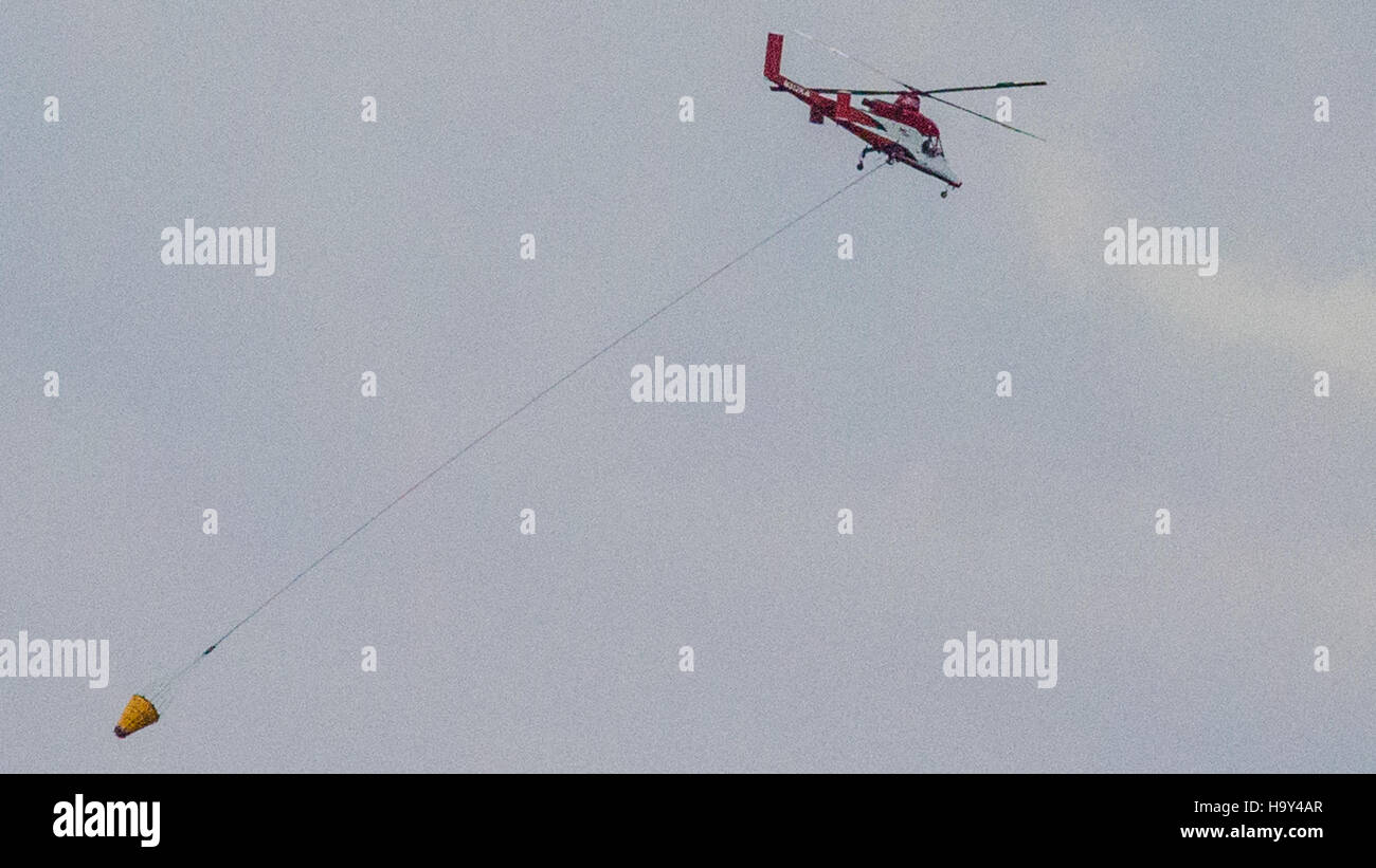 Das Big Windy Complex Wildlands Fire, das sich in der Nähe von Galice und Merlin, Oregon, befand, wurde vom USDA Forest Service und mehreren interinstitutionellen Teams verwaltet. Waldbrände wie dieser spielen eine wichtige Rolle für die Dynamik des Ökosystems, erfordern aber auch koordinierte Anstrengungen zur Bewältigung und Eindämmung. Stockfoto