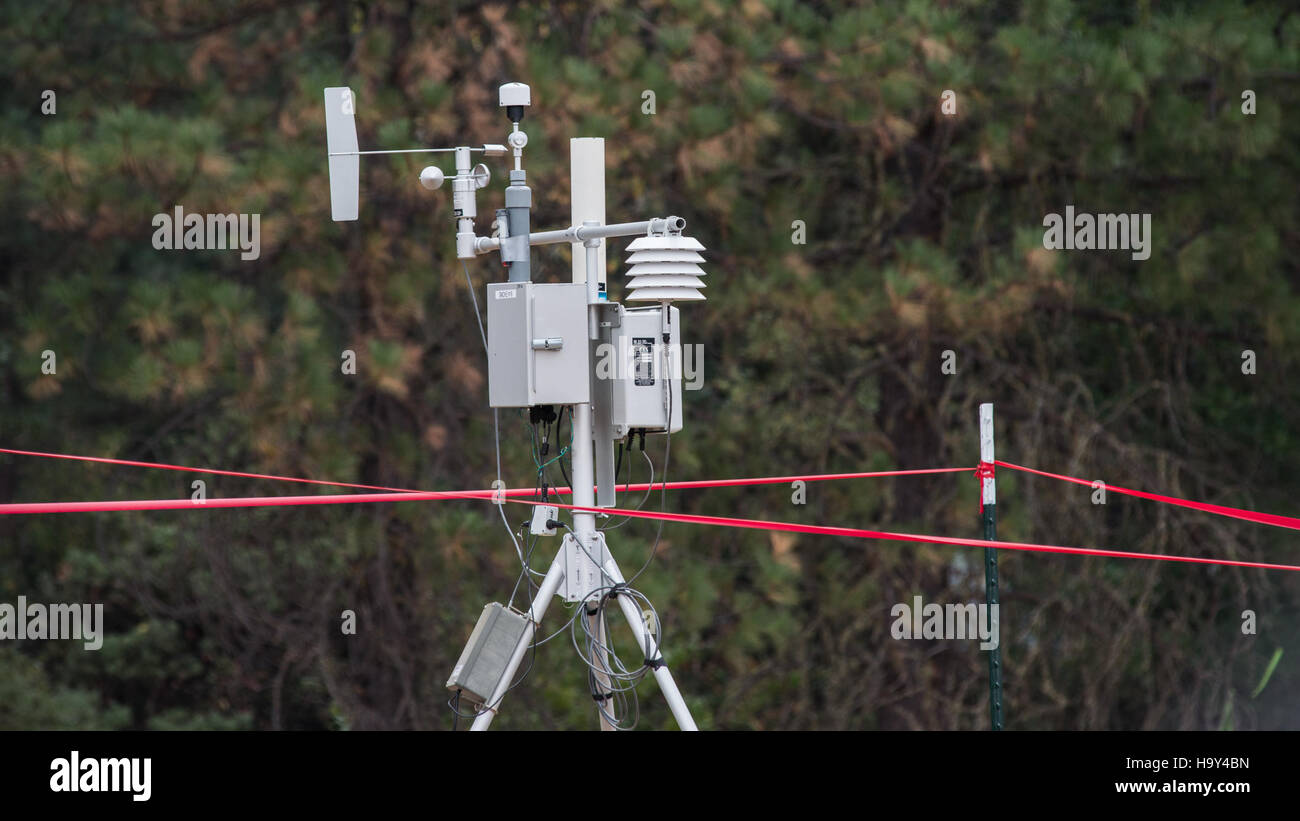Ein Waldbrand im Big Windy Complex in Oregon, der vom USDA Forest Service verwaltet wird, verdeutlicht die Herausforderungen des Brandmanagements in Wildgebieten und die laufenden Bemühungen um Schutz und Sicherheit. Stockfoto