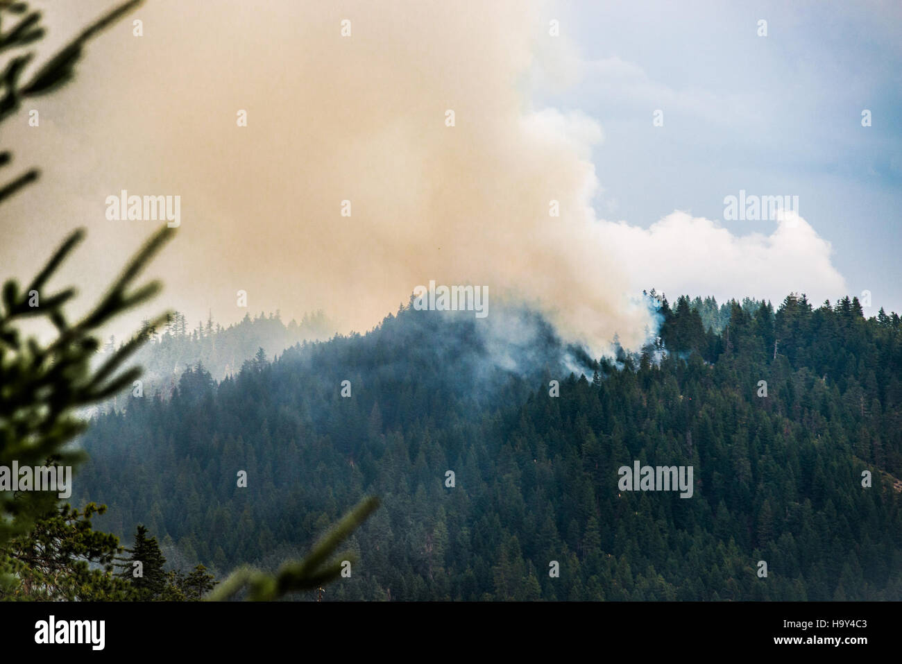 Der Big Windy Complex Wildlands Fire in Galice, Oregon, wurde vom USDA Forest Service und anderen interinstitutionellen Partnern verwaltet. Waldbrände in dieser Region stellen ein erhebliches Risiko für lokale Ökosysteme, Wildtiere und Gemeinschaften dar. Zu den Maßnahmen gehören die Brandbekämpfung, die Wiederaufnahme von Bränden und die Erforschung von Brandverhütungsmethoden zum Schutz der natürlichen Ressourcen und der öffentlichen Sicherheit. Stockfoto