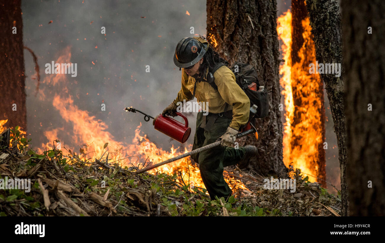 Der Big Windy Complex Wildlands Fire in Oregon beinhaltete koordinierte Anstrengungen zwischen USDA Forest Service und interinstitutionellen Partnern zur Bekämpfung von Waldbränden, wobei der Schwerpunkt auf der Erhaltung von Ökosystemen und der Reduzierung des Brandrisikos lag. Stockfoto
