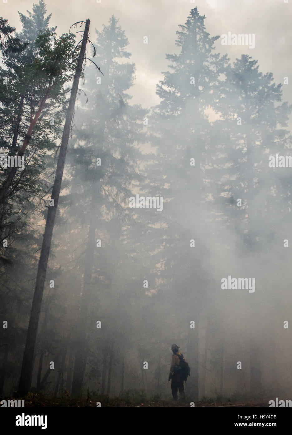 Der Big Windy Complex Wildlands Fire in Oregon, der von USDA Forest Service verwaltet wird, stellt ein bedeutendes Ereignis für die Waldbrandbewirtschaftung und den Landschutz in den USA dar Stockfoto