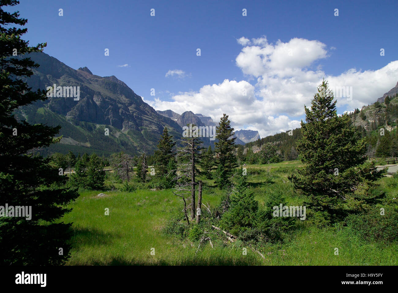 Die Rising Sun Area im Glacier National Park zeigt die einzigartige natürliche Schönheit und die vielfältigen Ökosysteme der Region und bietet Möglichkeiten für Forschung und naturnahe Bildung. Stockfoto