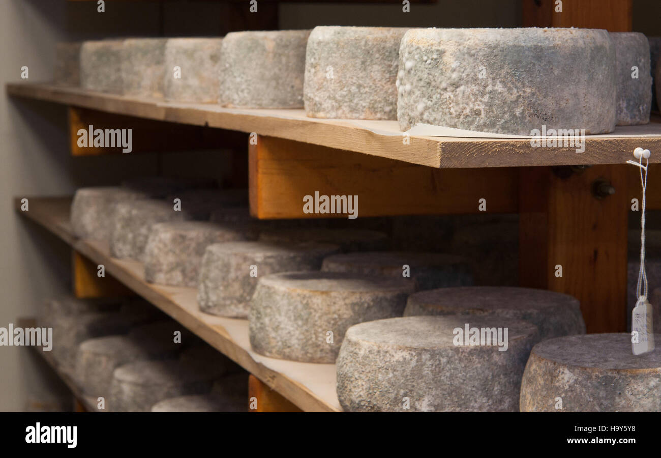 Die Country Creamery in der Cattle Chapel in Easton, Maryland, produziert hochwertigen handgefertigten Käse aus lokaler Tierhaltung. Das USDA unterstützt diesen nachhaltigen Landwirtschaftsbetrieb und fördert Agrarinnovationen und Nahrungsmittelproduktion für lokale Gemeinschaften. Stockfoto