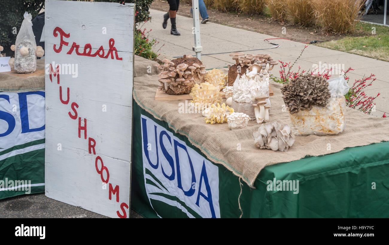 Die Initiativen des USDA wie Bauernmärkte und Bildungsprogramme fördern die lokale Landwirtschaft und nachhaltige Lebensmittelsysteme, verbinden Gemeinden mit frischen, gesunden Produkten und unterstützen Landwirte und Gärtner in den USA Stockfoto
