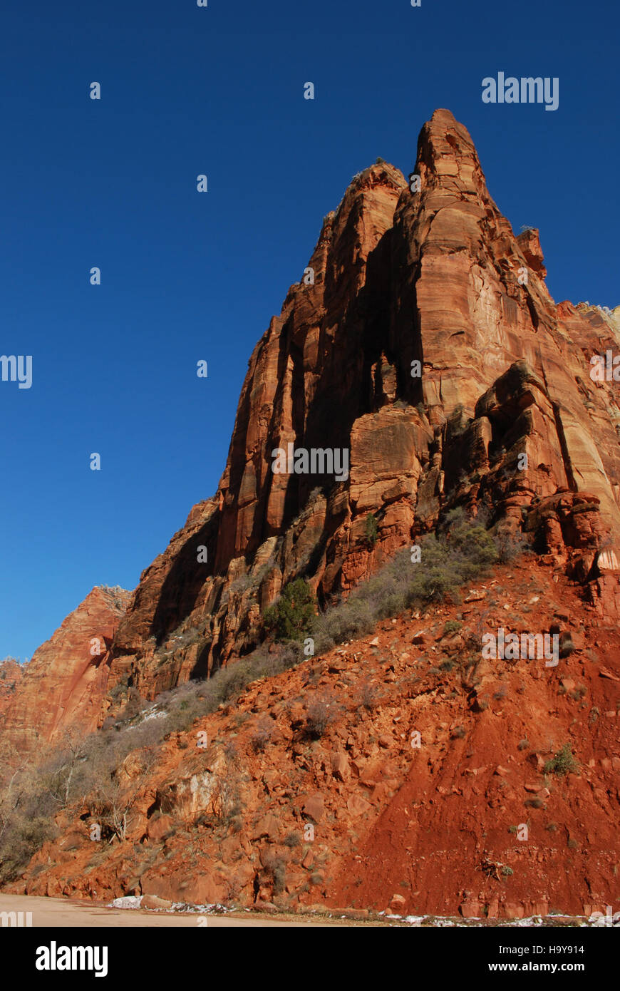 Der Big Bend National Park in Texas ist ein bekanntes Reiseziel für seine vielfältigen Ökosysteme, darunter Wüsten-, Fluss- und Berglandschaften. Der Park ist ein Paradies für Outdoor-Aktivitäten wie Wandern, Camping und Vogelbeobachtung und bietet ein einzigartiges Erlebnis in der Chihuahuan-Wüste. Stockfoto