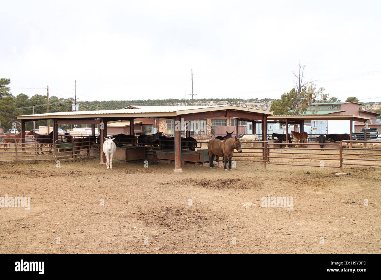 Grand Canyon Nps 13205455803 Grand Canyon National Park; Livree Gebäude (2014) 8417 Stockfoto