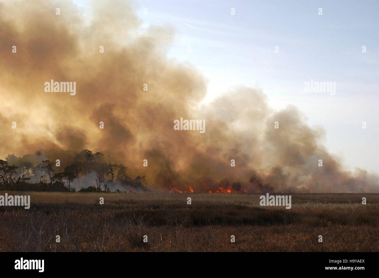 Capehatterasnps 13925154825 brennen durch Bodie Island Hängematte Stockfoto