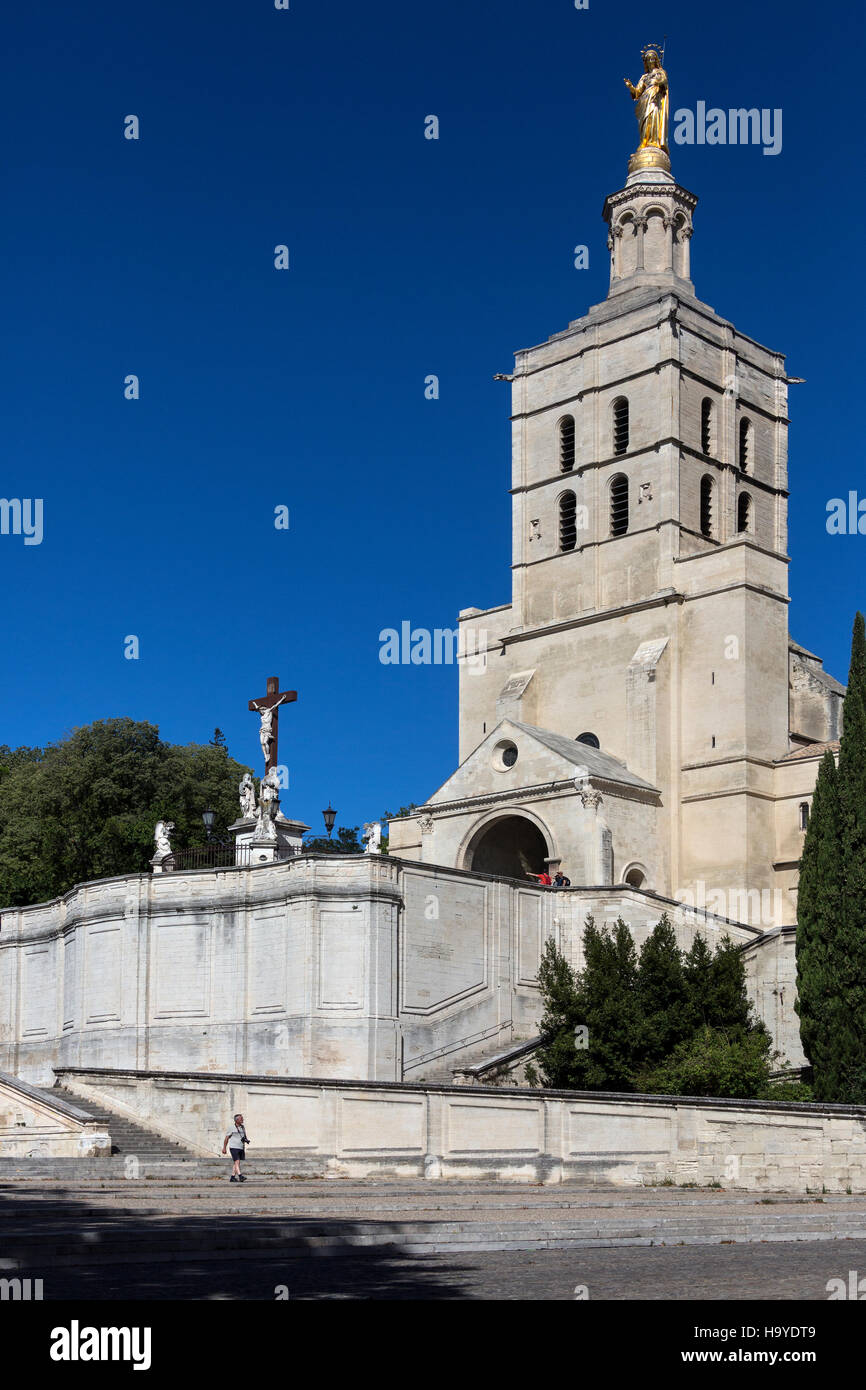 Avignon Kathedrale - römisch-katholische Kathedrale befindet sich neben dem Palais des Papes in Avignon, Frankreich Stockfoto