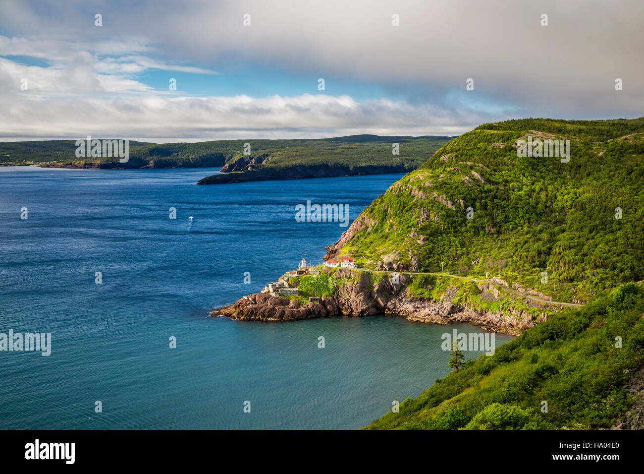 Die zerklüftete Küste und Fort Amherst vom Signal Hill, St. Johns Neufundland und Labrador, Kanada. Stockfoto