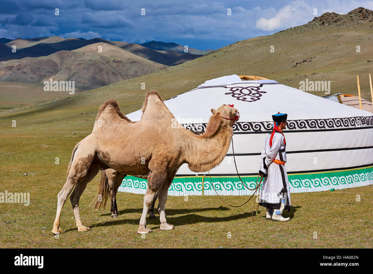 Mongolei, Uvs Provinz, westlichen Mongolei, Nomadencamp in der steppe Stockfoto
