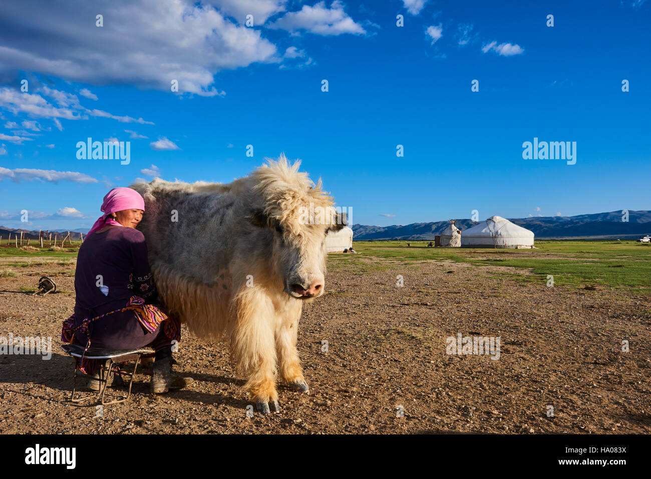 Mongolei, Bayan-Ulgii Provinz, westlichen Mongolei, Nomadencamp der Kasachen in der steppe Stockfoto