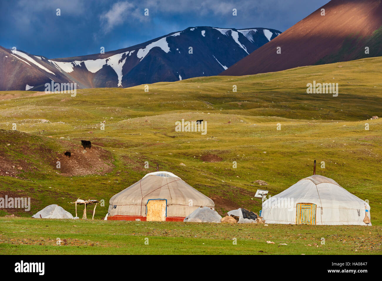 Mongolei, Bayan-Ulgii Provinz, westlichen Mongolei, National Parc des Tavan Bogd, die 5 höchsten Gipfel des Altai-Gebirges, Nomadencamp des kasachischen Peopl Stockfoto