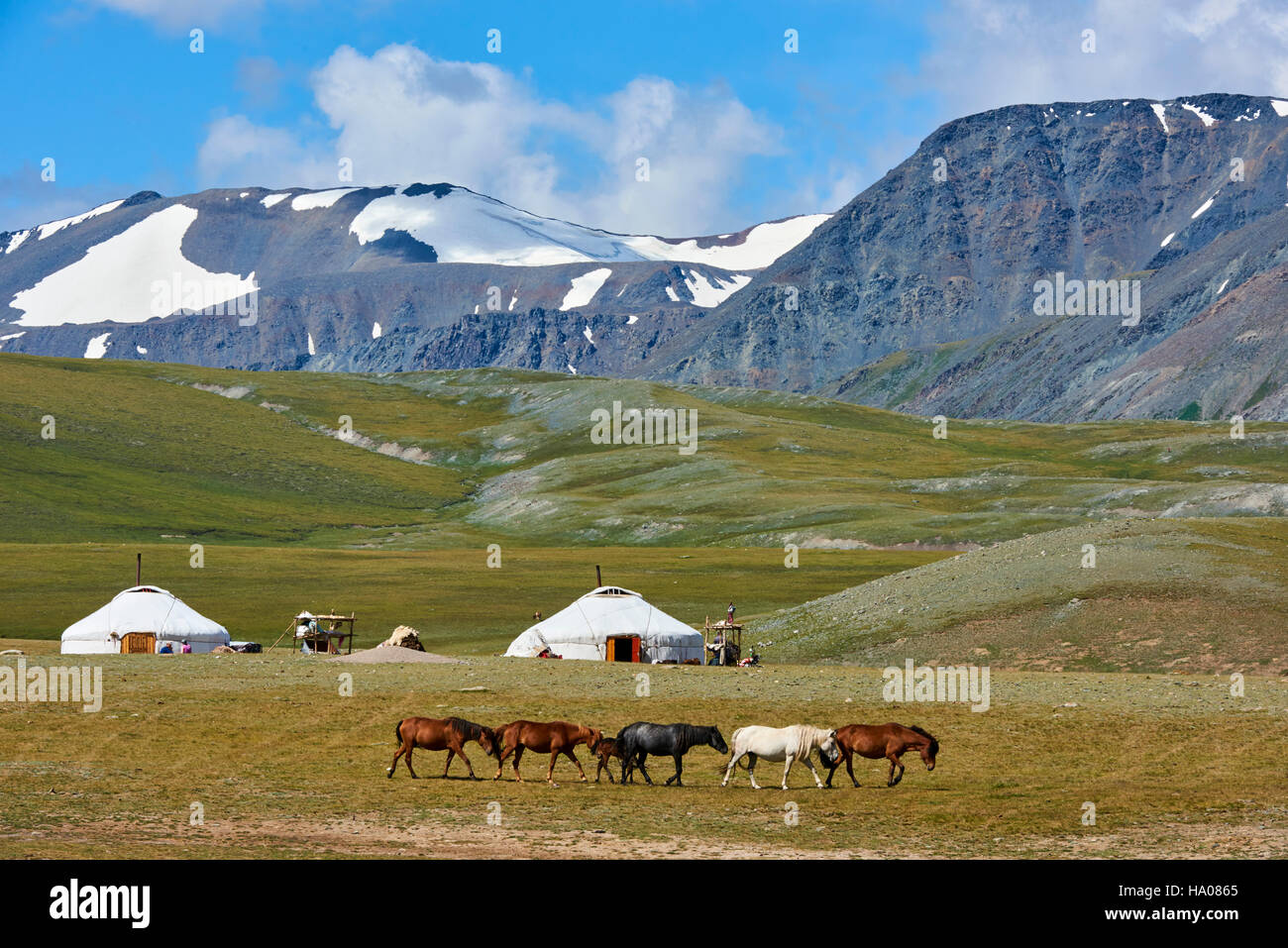 Mongolei, Bayan-Ulgii Provinz, westlichen Mongolei, National Parc des Tavan Bogd, die 5 höchsten Gipfel des Altai-Gebirges, Nomadencamp des kasachischen Peopl Stockfoto