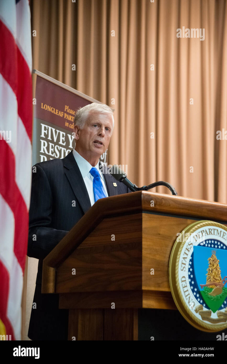Die America's Longleaf Restoration Initiative zielt darauf ab, die Ökosysteme der Langblattkiefer im Südosten der USA wiederherzustellen. Das Programm konzentriert sich auf die Wiederherstellung von Lebensräumen, die Erhaltung der Biodiversität und die nachhaltige Bewirtschaftung von Waldlandschaften. Stockfoto