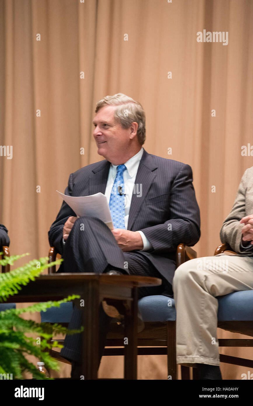 Die America's Longleaf Restoration Initiative konzentriert sich auf die Wiederherstellung des Ökosystems der Langblatt-Kiefer, das für die biologische Vielfalt und die Lebensräume der Wildtiere von entscheidender Bedeutung ist. Diese Initiative, die vom USDA unterstützt wird, fördert nachhaltige Landbewirtschaftung und Waldschutz in den USA Stockfoto