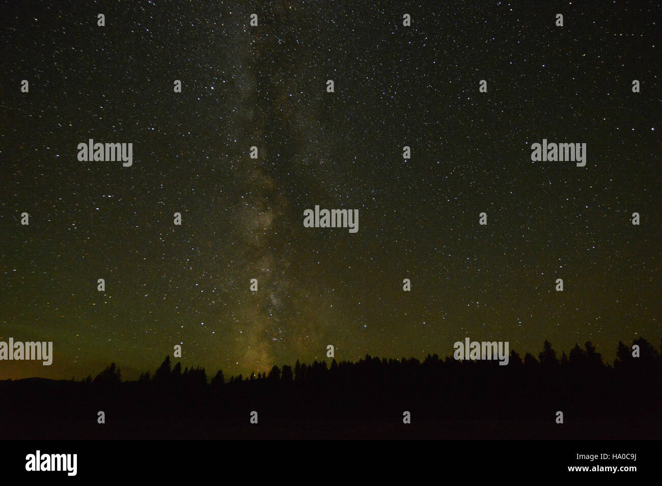 Ein atemberaubender Blick auf die Milchstraße über Big Prairie im Glacier National Park, der die Schönheit des Nachthimmels in der abgelegenen Wildnis unterstreicht. Stockfoto