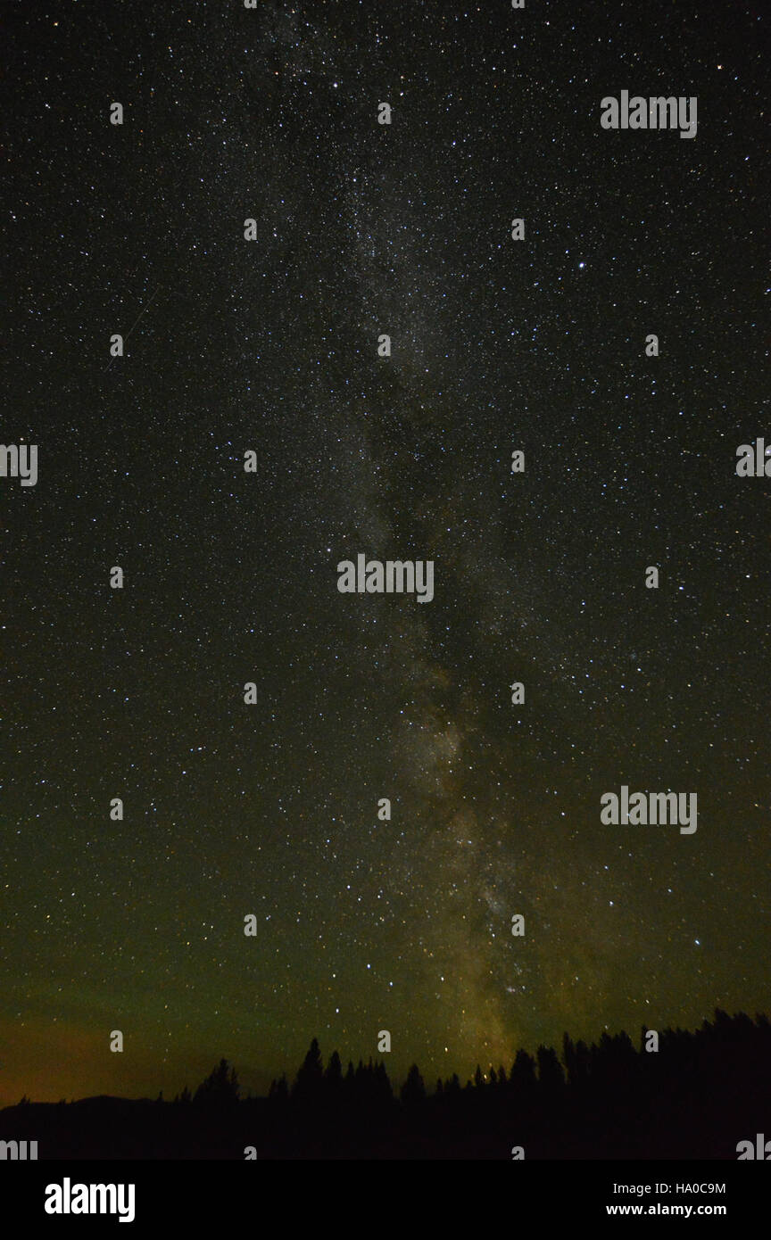 Ein atemberaubender Blick auf die Milchstraße erstreckt sich über Big Prairie im Glacier National Park. Diese himmlische Szene zeigt den dunklen Himmel und die natürliche Schönheit des Parks und zeigt sowohl seine nächtliche als auch die Wildnis. Stockfoto