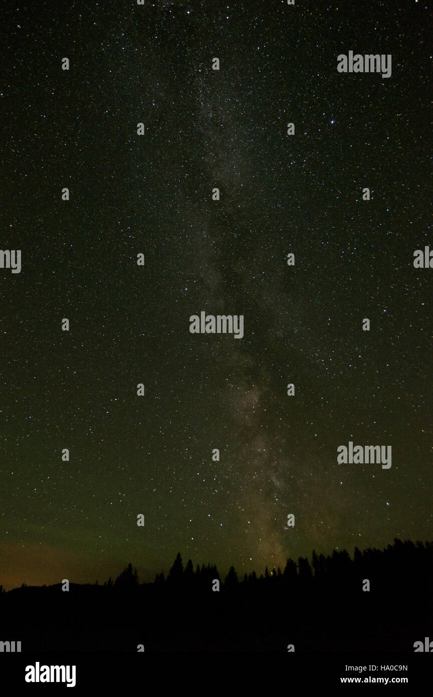 Die Milchstraße erstreckt sich über die Big Prairie im Glacier National Park, beleuchtet vor einem sternenklaren Nachthimmel. Diese atemberaubende Aussicht unterstreicht die natürliche Schönheit der Landschaft des Parks und den klaren Nachthimmel, der typisch für diese Region ist. Der Glacier National Park ist bekannt für seine unberührte Umgebung und seine Möglichkeiten zum Sternenhimmel. Stockfoto