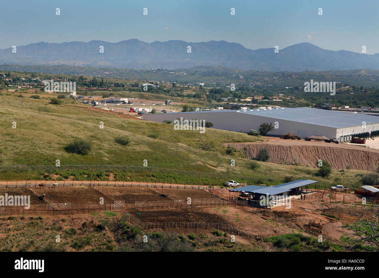 Der Animal and Plant Health Inspection Service (APHIS) des USDA gewährleistet die Sicherheit von Rindern durch regelmäßige Inspektionen in Viehanlagen. Diese Inspektionen konzentrieren sich auf die Gesundheit, das Wohlergehen und die Sicherheit von Rindern und Nutztieren und gewährleisten die Einhaltung der Standards für die Tierpflege und Notfallpläne für Notfälle. Stockfoto