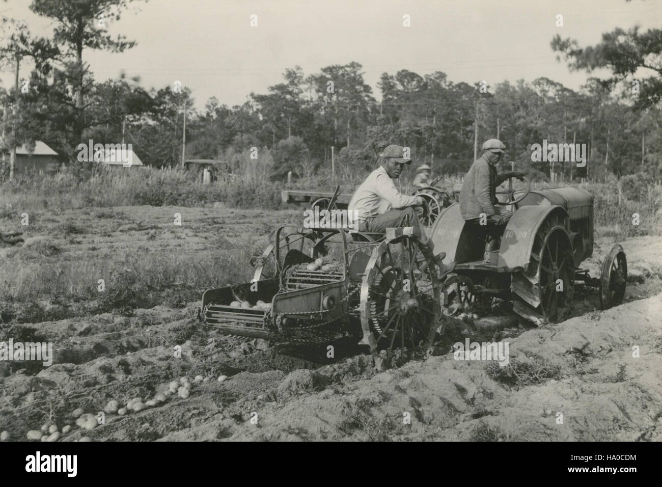 Diese Abbildung zeigt Landarbeiter, die einen Traktor bedienen, und unterstreicht die Bedeutung der landwirtschaftlichen Arbeit für die Nahrungsmittelproduktion. Traktoren sind wichtige Werkzeuge in der modernen Landwirtschaft und unterstützen den Anbau von Kulturen und landwirtschaftlichen Tätigkeiten. Stockfoto