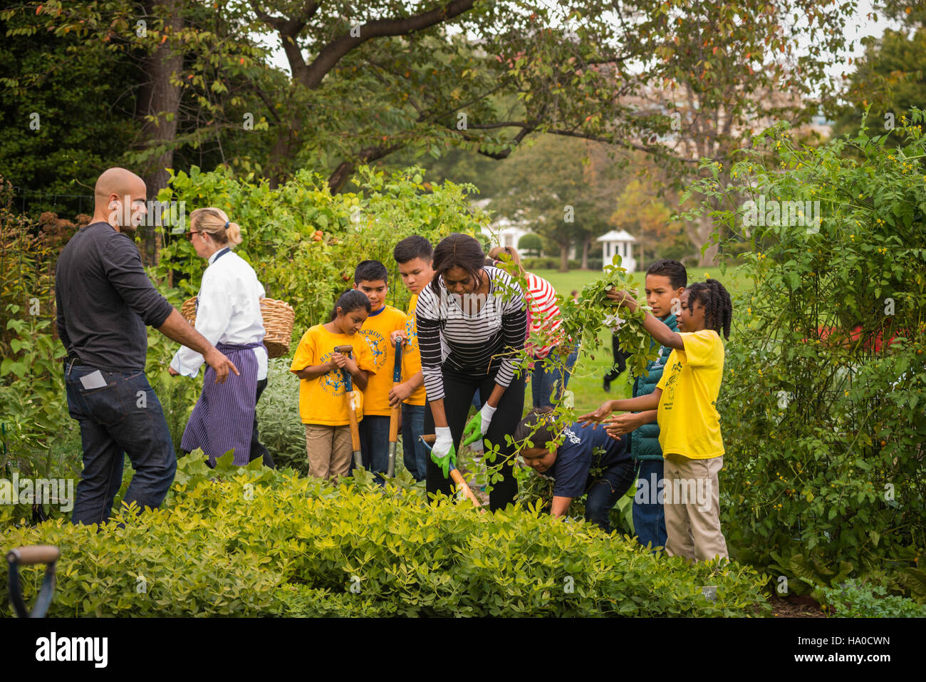 Der Food and Nutrition Service (FNS) des USDA spielt eine Schlüsselrolle bei der Verbesserung der Ernährung in den USA die Programme der Agentur unterstützen den Zugang zu gesunden Lebensmitteln, fördern die Ernährungssicherheit und tragen durch Ernährungserziehung und Nahrungsmittelhilfeprogramme zur Verbesserung der öffentlichen Gesundheit bei. Stockfoto