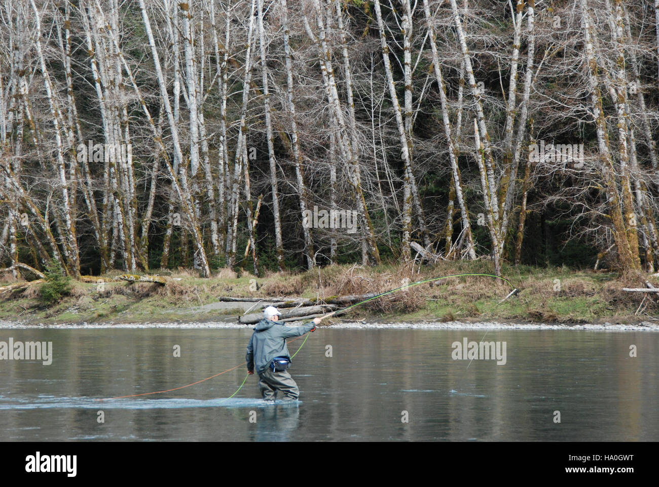 Olympicnps 17370128522 Fliegenfischer Angeln Queets River Casting C Bubar 5. März 2015 Stockfoto