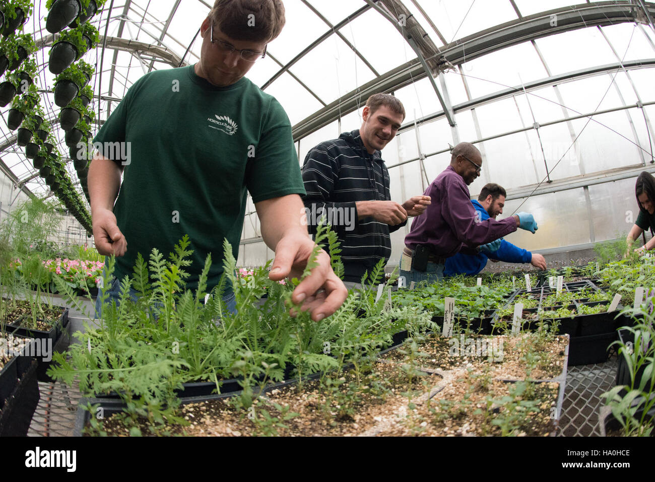 Dieses Bild veranschaulicht die Rolle der USDA bei der Unterstützung des Supplemental Nutrition Assistance Program (SNAP) und seiner Integration in die Agrarpolitik, die öffentliche Gesundheit und die Entwicklung der Arbeitskräfte im Rahmen des Farm Bill von 2014. Stockfoto