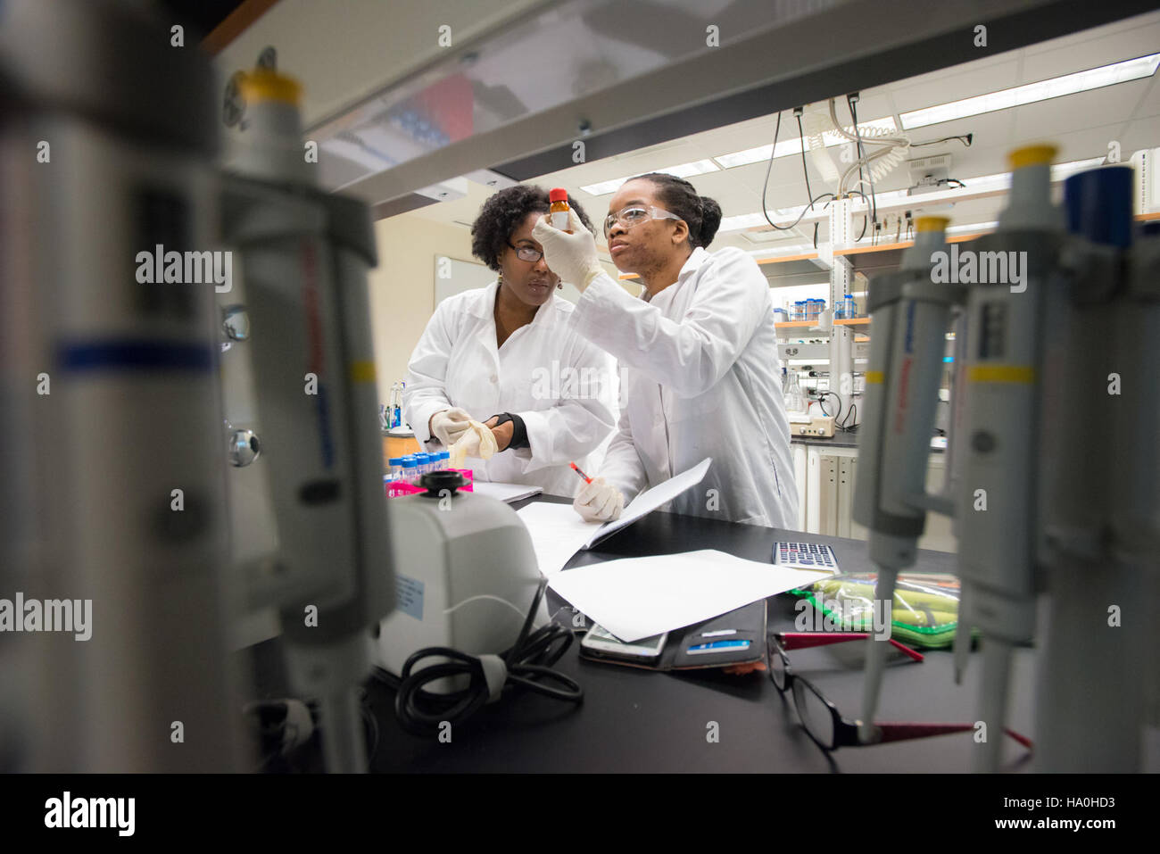 Das SNAP-Programm des USDA im Rahmen des Farm Bill von 2014 unterstützt Ernährungssicherheit und Ernährung durch öffentliche Hilfe. Es zielt darauf ab, den Hunger zu lindern und den Zugang zu gesunden Lebensmitteln für Einzelpersonen und Familien in den USA zu verbessern Stockfoto