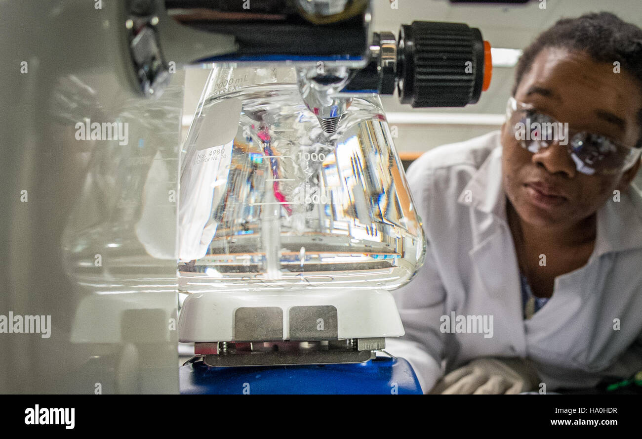 Das USDA unterstützt das Supplemental Nutrition Assistance Program (SNAP) als Teil des Farm Bill von 2014, um die Ernährungssicherheit für Menschen mit niedrigem Einkommen zu gewährleisten. Diese Initiative fördert Gesundheit und Ernährung in den USA Stockfoto