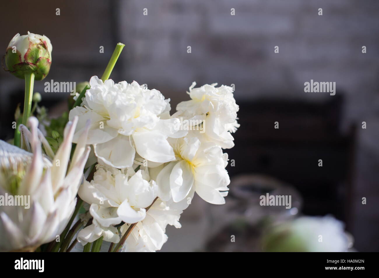 Schöne weiße protea und David Austin Rosen auf einem Tisch. Schöne seltene Blumen für die Hochzeitsdekoration. Hochzeit im Loft Stil. Frische romantische Bouquet für bri Stockfoto