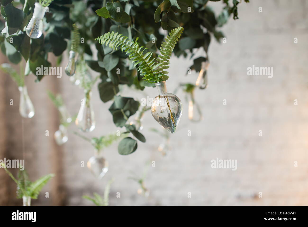 Grüne Blätter der Farn in Glasröhren Wasser hängen. Schöne rustikale Hochzeitsdekoration Stücke. Hochzeit im Loft Stil. Der Hintergrund jedoch unscharf. Stockfoto